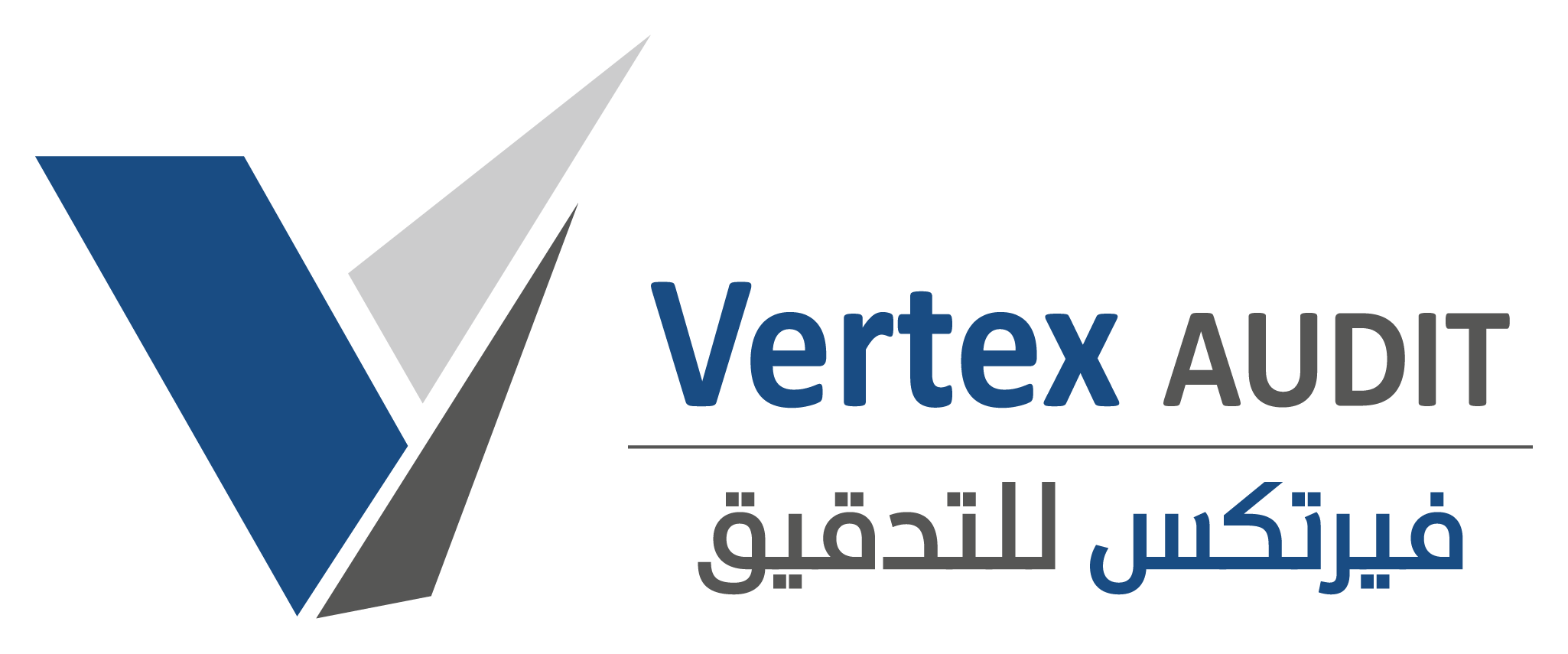 Vertex Audit Company Logo